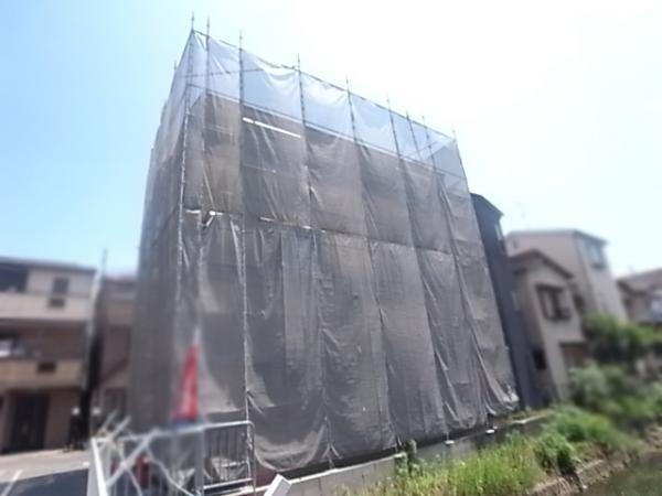 Other local. Local Photos