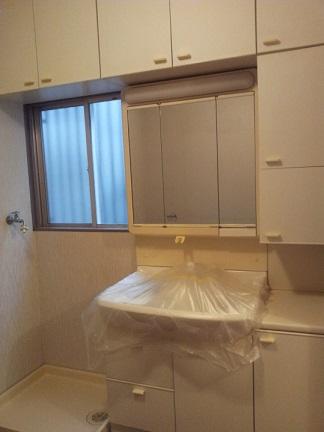 Wash basin, toilet. Storage rich basin space!