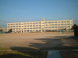 Primary school. Yanagawa to elementary school (elementary school) 240m