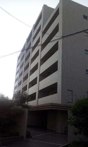 Local appearance photo. Local (11 May 2013) Shooting