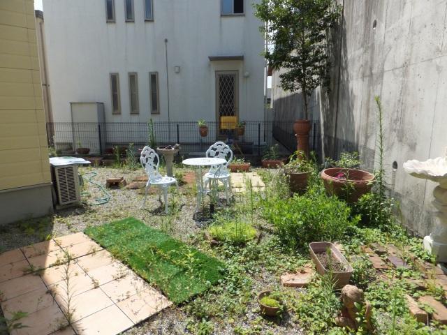 Garden. backyard