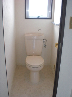 Toilet. Western style. Spacious space