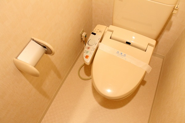 Toilet. Bidet