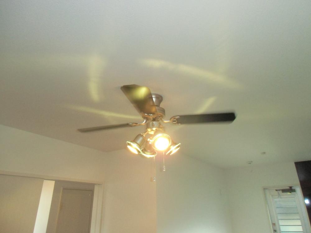 Other. Ceiling Fan Light