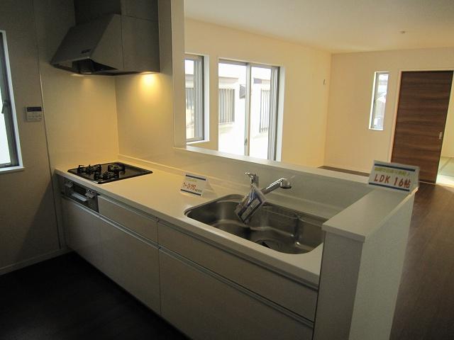 Kitchen. Indoor (12 May 2013) Shooting