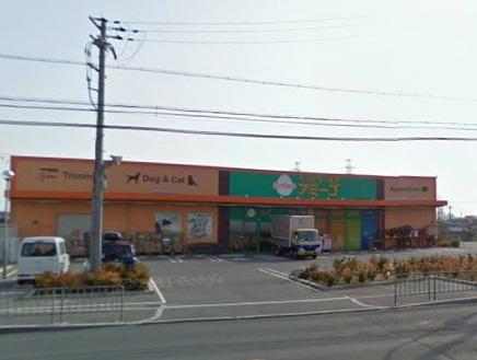 Other. Neighborhood pet shop: Amigo Takatsuki