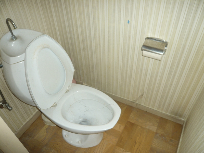 Toilet