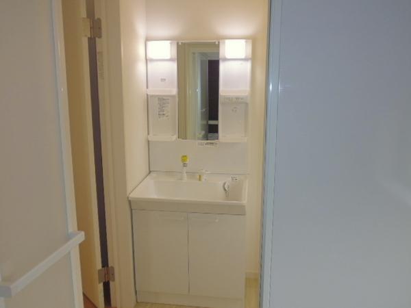 Wash basin, toilet. Smooth dressing in the wash basin shower