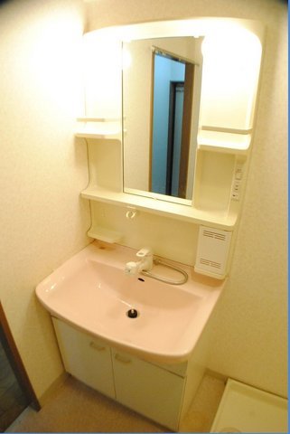 Washroom. Washbasin with cleanliness! Of course, it is with shampoo dresser!