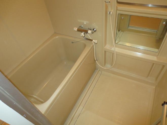 Bathroom. Interior
