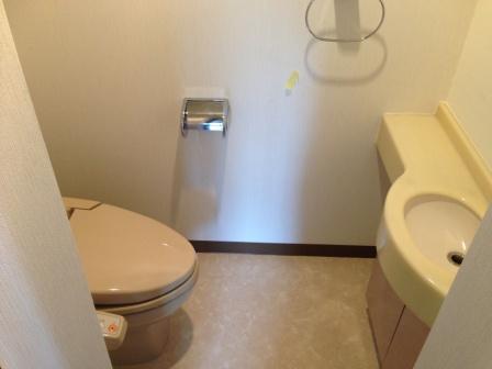 Toilet