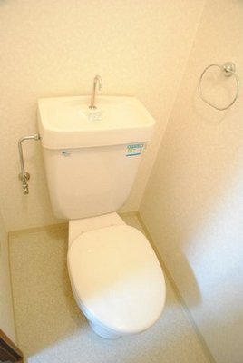 Toilet. Your toilet is also shining with cleanliness