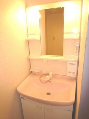 Washroom. Convenient Shampoo dresser