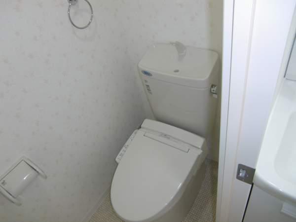 Toilet. 2013 end of April toilet urinal replacement