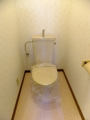 Toilet