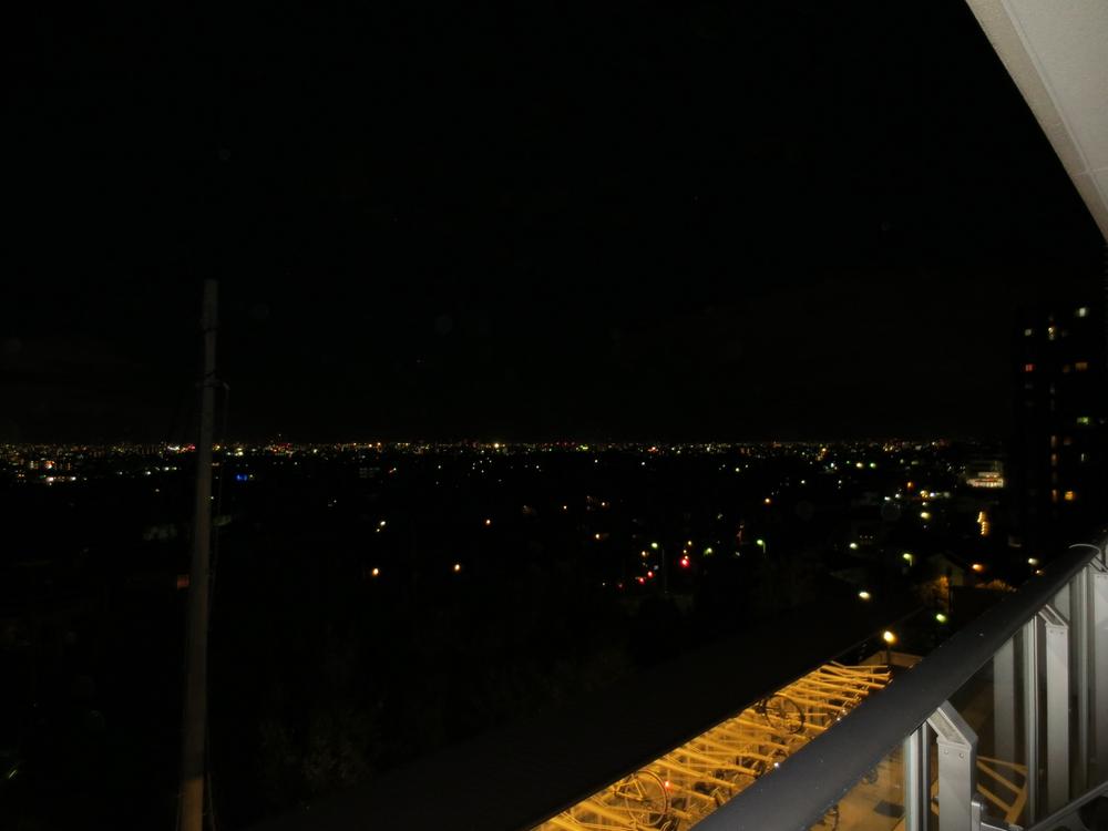 Other. It is a photograph of the seller like recommended night view.