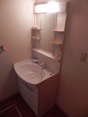 Washroom. Shampoo dresser