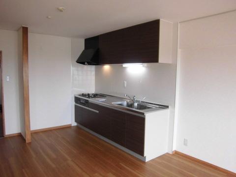 Kitchen. Indoor (12 May 2013) Shooting