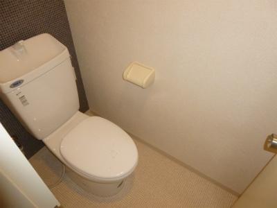 Toilet. Indoor (12 May 2013) Shooting