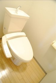 Toilet. Bidet with function