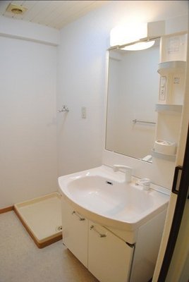 Washroom. It is a big size shampoo dresser. 