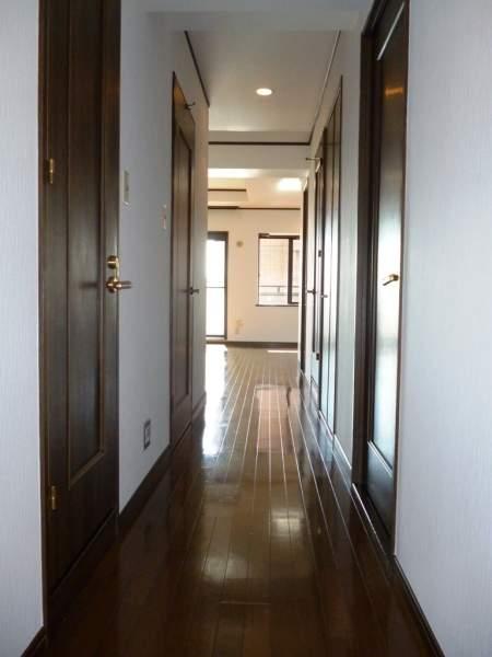 Other introspection. Corridor