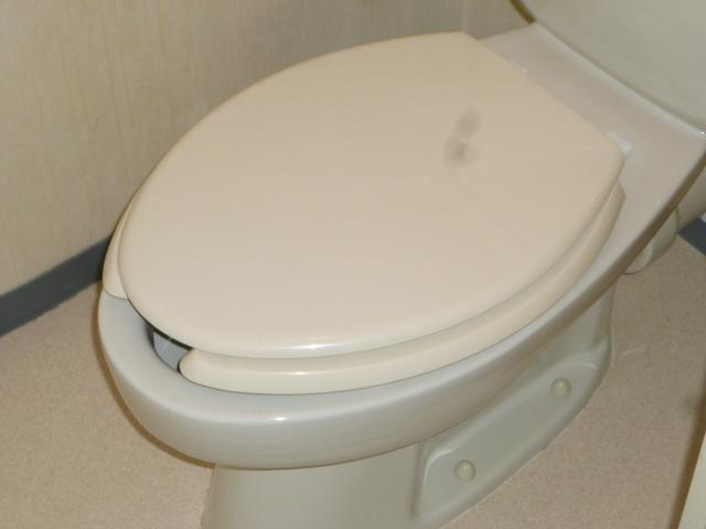 Toilet. Toilet