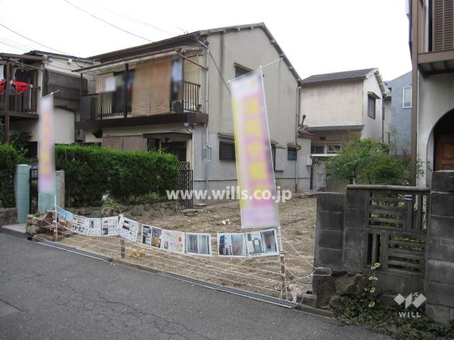 Local land photo. Property (from the southwest side)