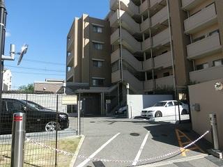 Parking lot. Common areas