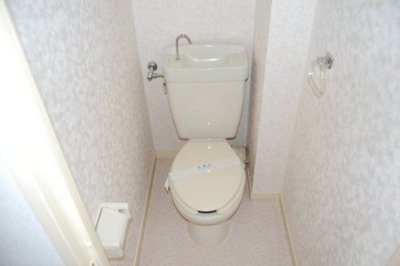 Toilet. Toilet