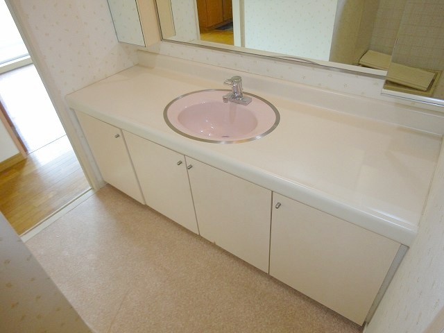 Washroom. Spacious vanity! 