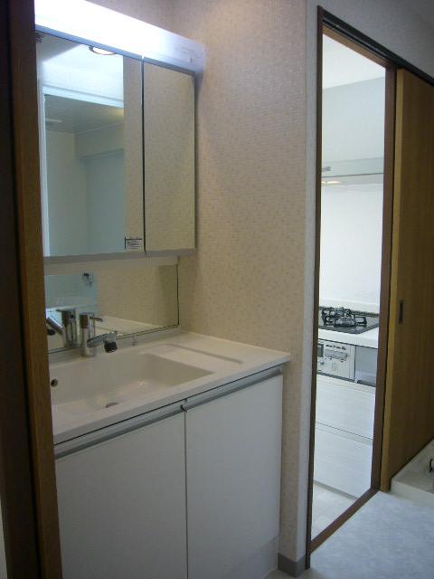 Wash basin, toilet. Bathroom vanity