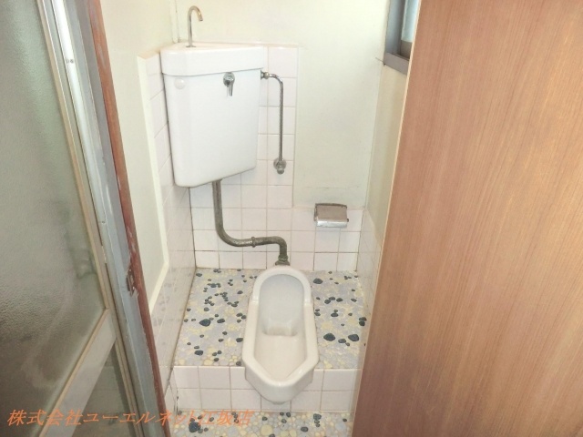 Toilet. Japanese-style toilet