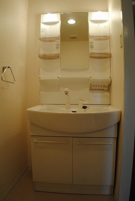 Washroom. Shampoo dresser of a large mirror. 