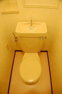 Toilet. Toilet