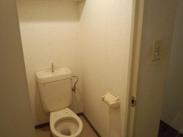 Toilet. Indoor shooting