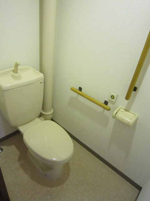 Toilet. Photograph publication of the same type. 