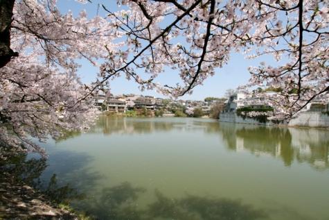 Other Environmental Photo. It is known as the 520m Hokusetsu leading mansion district until three pond Higashitoyonaka. It has been designated as a scenic area, Good living environment is protected to those of strict building regulations, It has been chosen as the "Toyonaka Hyakkei". 