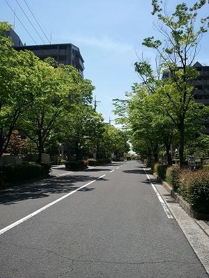 Other. Easy to walk because of the tree-lined street to the station!