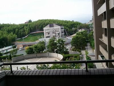 View photos from the dwelling unit. North