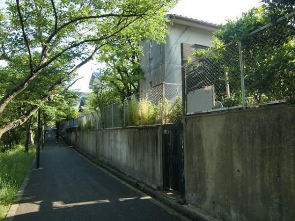 Local photos, including front road. Sakura from northeast promenade
