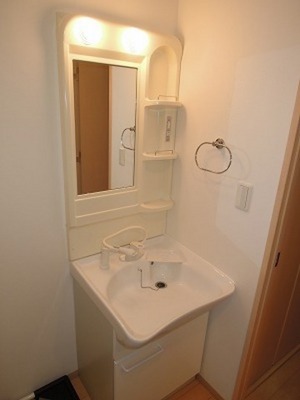 Washroom. Will shampoo dresser