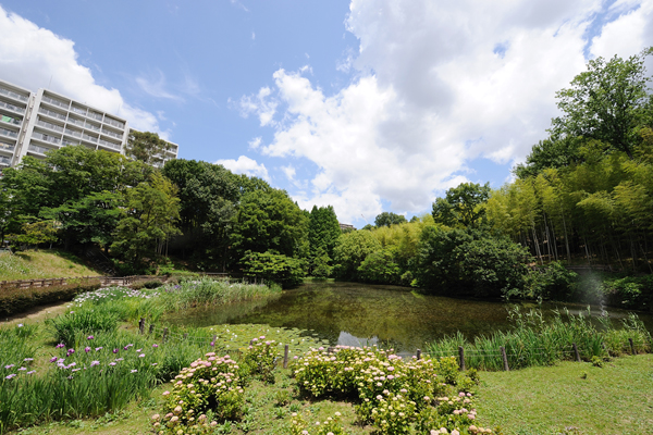 Surrounding environment. Chisato Higashimachi Park (7 min walk ・ About 550m)
