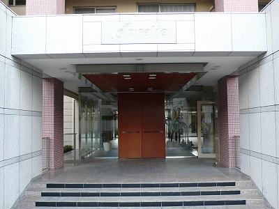 Entrance. Common areas
