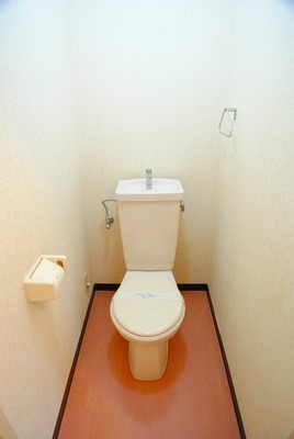 Toilet. Toilet space