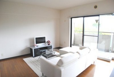 Living and room. Sunny bright living room also is put a large sofa (