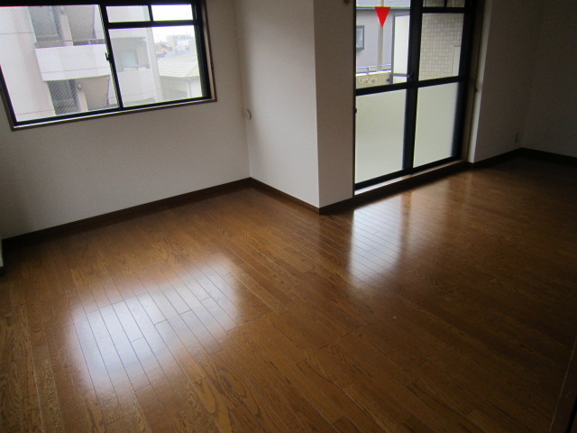 Living and room. Facing south in a bright living room