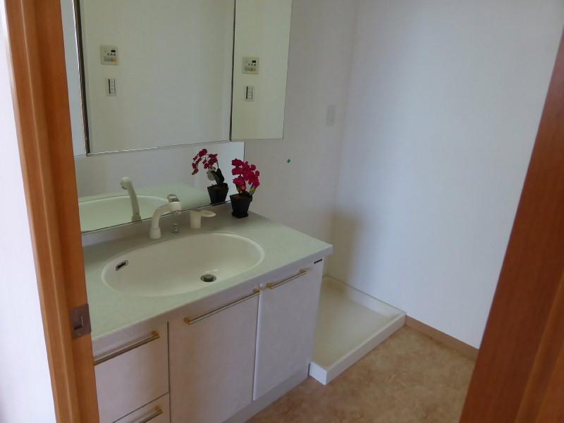 Wash basin, toilet