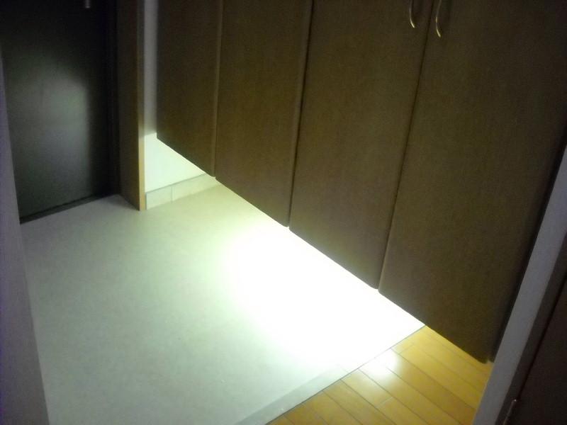 Entrance. There is a foot lamp underneath the shoe box