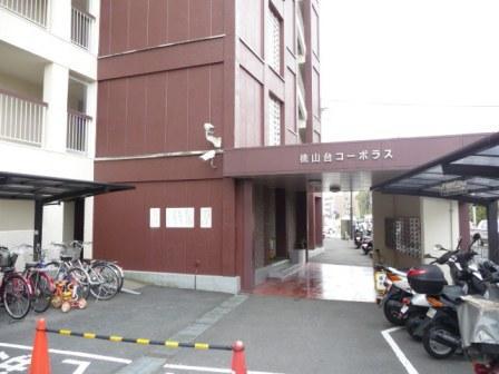 Other local